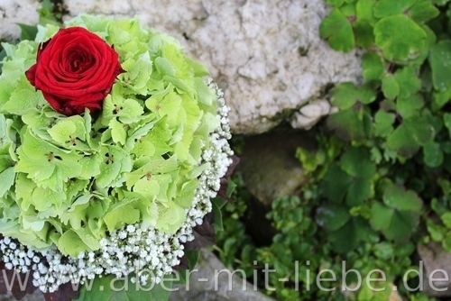 Hochzeitsfloristik, Brautstrauß, Hortensie mit roter Rose, Schleierkraut