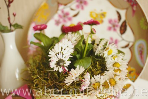 Gänseblümchenkranz, Bellis, buntes Porzellan