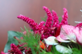 brautstrauss fuchsschwanz, brautstrauß gartenfuchsschwanz, amaranthus, brautstrauss, brautstrauß amaranthus