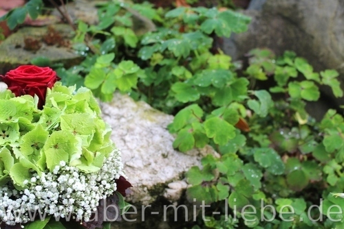 Brautstrauß, Hortensienkuppel, rot, weiß, grün, rote Rose, Schleierkraut