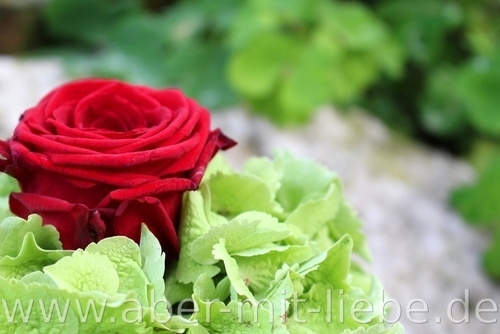 Rot-weiß-grün, Brautstrauß, Hochzeit, Floristik, Hortensie, Rose