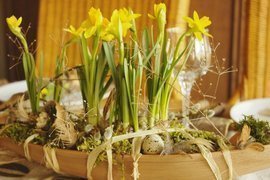 Tischdeko Frühling, rustikal, Cocosblatt bepflanzt, Narzissen, Moos, Narzissenzwiebel, Eier