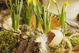 Tischdeko Frühling, Cocosblatt bepflanzt, Narzissen, Moos, Eier, Feder, Weidenkätzchen, Rinde
